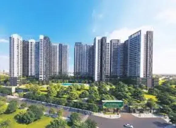 EMERALD GOLD VIEW